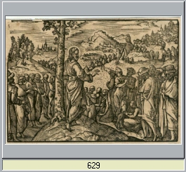 early bible woodcut